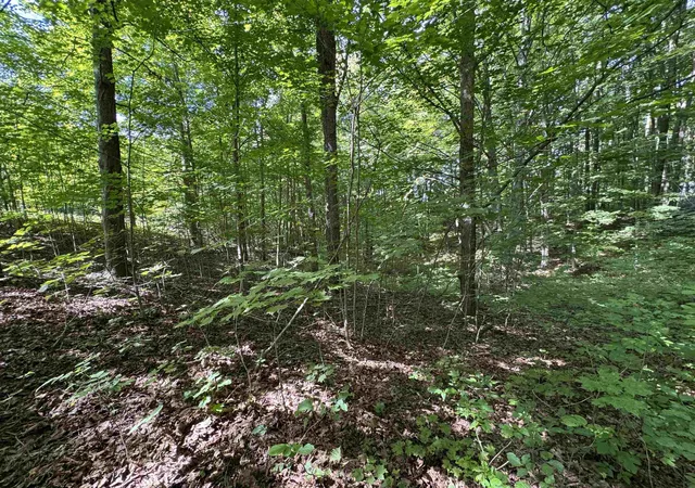 Photo 4 of Land for sale at 000 S Garfield Rd, Traverse City, MI 49696 | MLS# 80072878 | Listing updated on 2026-09-15