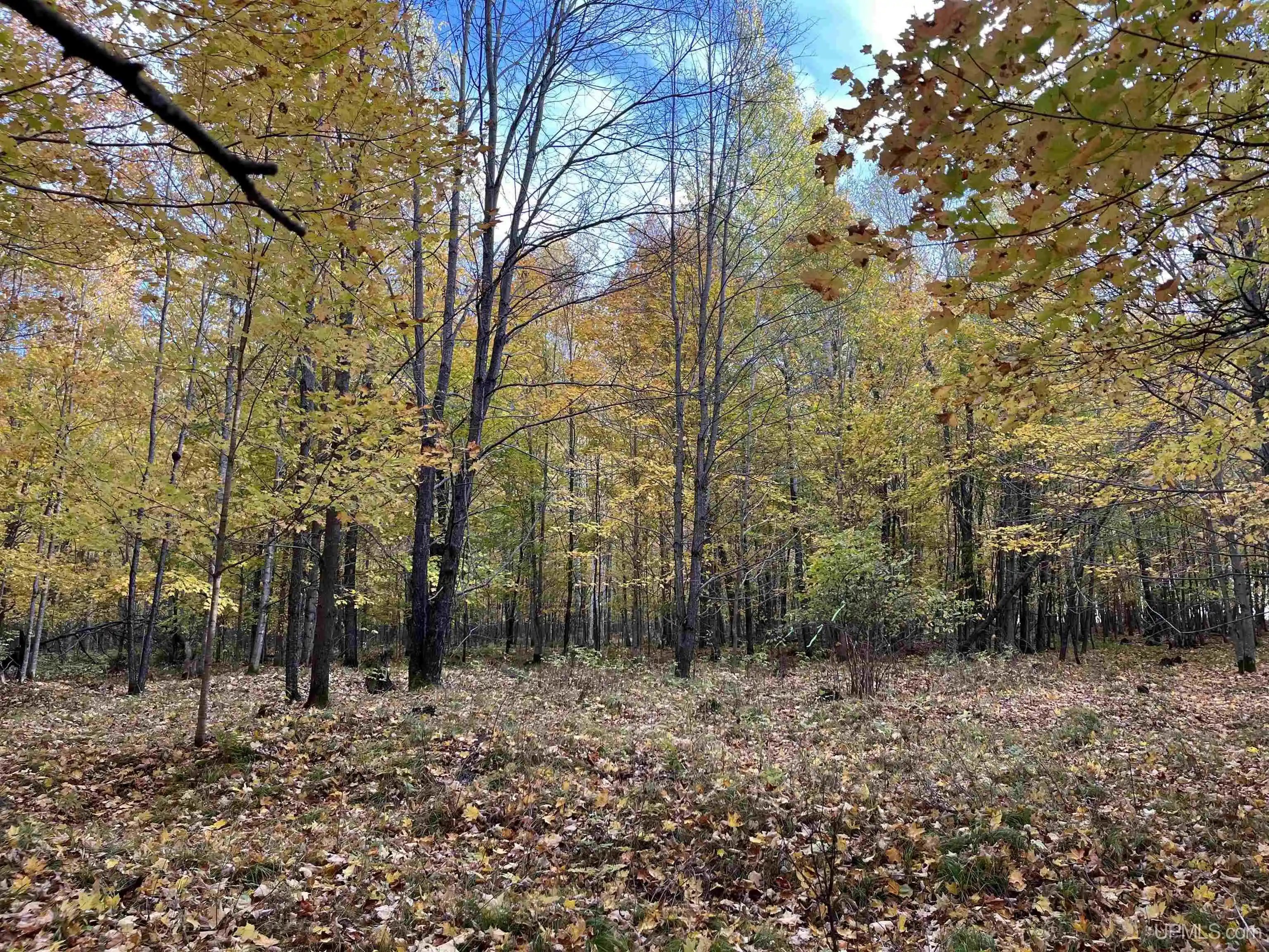 Photo 1 of Land for sale at Lot 4 Porcupine Lake Rd, Long Lake, WI 54542 | MLS# 50222753 | Listing updated on 2026-10-28