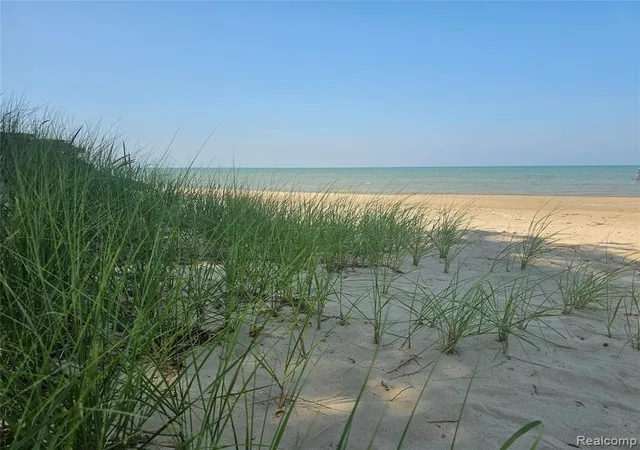 Homes for sale in Caseville, MI | 4682 Port Austin Rd, Caseville, MI 48725 | MLS# 60992054