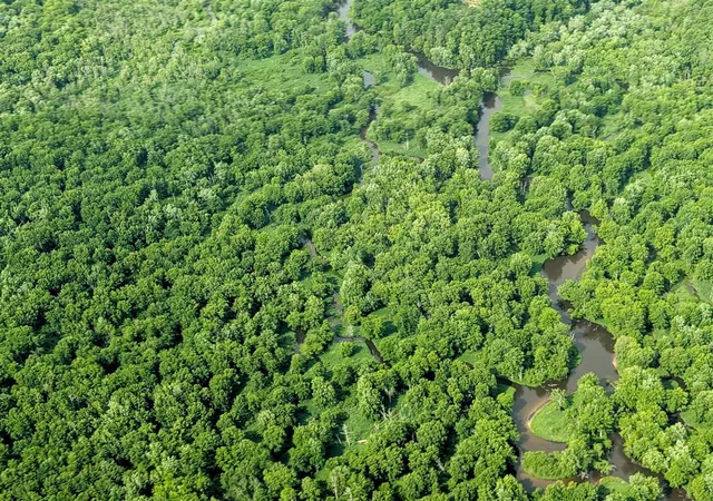 Photo 2 of Land for sale at W Wilson, Ludington, MI 49431 | MLS# 70535391 | Listing updated on 2026-08-31