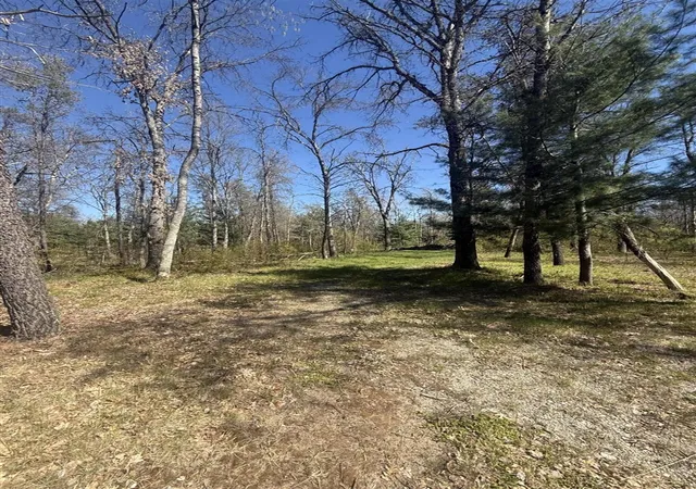 Homes for sale in Baldwin, MI | 4097 S Michway Rd, Baldwin, MI 49304 | MLS# 70536205
