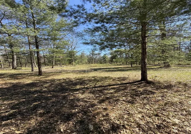 Homes for sale in Baldwin, MI | 4097 S Michway Rd, Baldwin, MI 49304 | MLS# 70536205