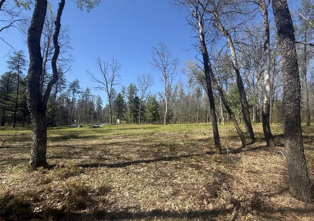 Homes for sale in Baldwin, MI | 4097 S Michway Rd, Baldwin, MI 49304 | MLS# 70536205