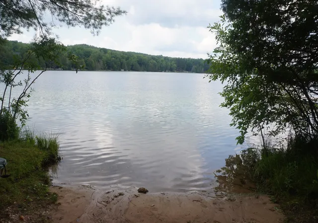 1st image of 13992 Merrill Ave, Kalkaska, MI 49646 | MLS# 80072671