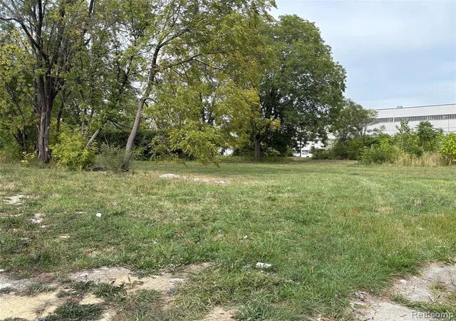 4th image of 6346 Clifton St, Detroit, MI 48210 | MLS# 60935457