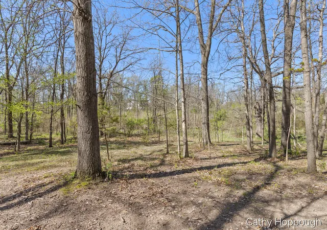 2nd image of 1057 W Tuttle Rd, Ionia, MI 48846 | MLS# 70529591