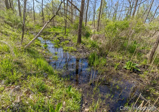 3rd image of 1057 W Tuttle Rd, Ionia, MI 48846 | MLS# 70529591