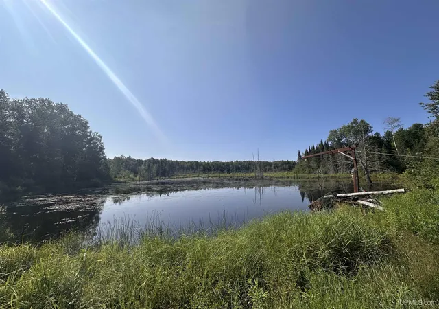 Photo 1 of Land for sale at W6425 Leeman Rd, Sagola, MI 49881 | MLS# 50216059 | Listing updated on 2026-10-07