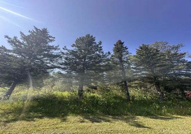 Photo 3 of Land for sale at W6425 Leeman Rd, Sagola, MI 49881 | MLS# 50216059 | Listing updated on 2026-10-07