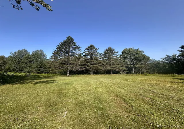 Photo 3 of Land for sale at W6425 Leeman Rd, Sagola, MI 49881 | MLS# 50216059 | Listing updated on 2026-10-07