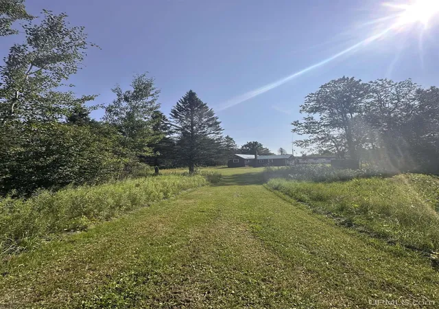 Photo 4 of Land for sale at W6425 Leeman Rd, Sagola, MI 49881 | MLS# 50216059 | Listing updated on 2026-10-07