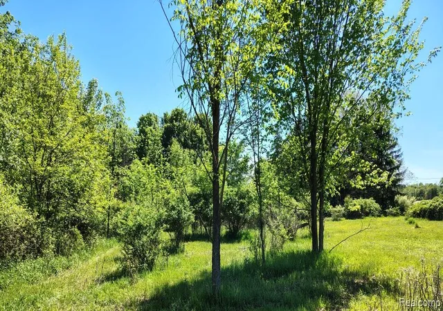 Homes for sale in Otter Lake, MI | C Hemingway Lake Rd, Otter Lake, MI 48464 | MLS# 60998688