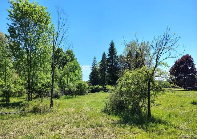 Homes for sale in Otter Lake, MI | C Hemingway Lake Rd, Otter Lake, MI 48464 | MLS# 60998688