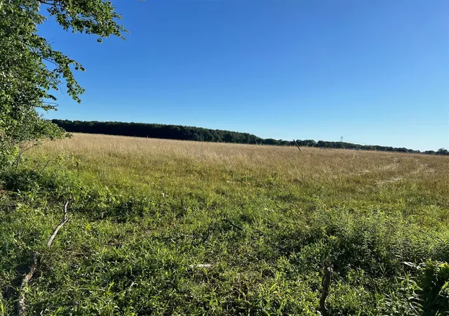 4th image of Rd, Galien, MI 49113 | MLS# 70382195