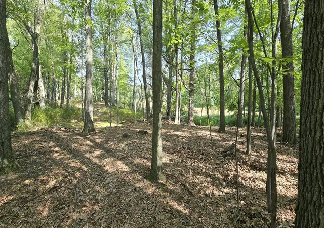 Photo 4 of Land for sale at Vl Kingsbury Rd, Delton, MI 49046 | MLS# 70548163 | Listing updated on 2026-08-12