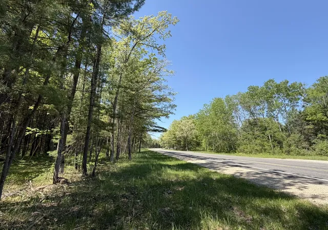 10th image of V/l Us 10, Baldwin, MI 49642 | MLS# 80069070