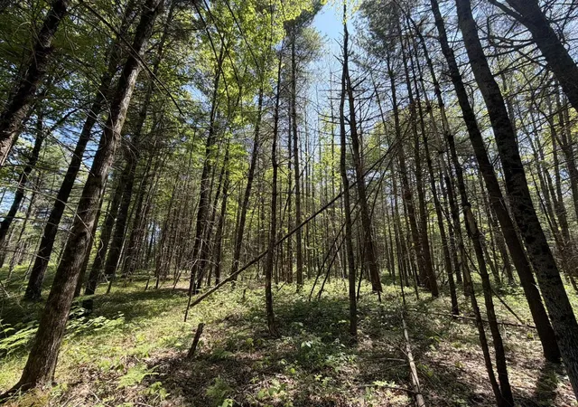 1st image of V/l Us 10, Baldwin, MI 49642 | MLS# 80069070
