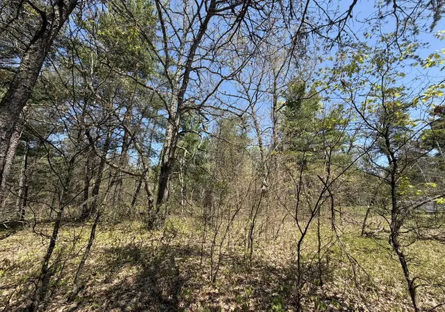 3rd image of V/L Us-10, Baldwin, MI 49642 | MLS# 80069070