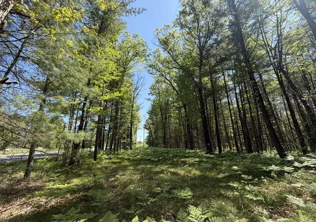 5th image of V/L Us-10, Baldwin, MI 49642 | MLS# 80069070
