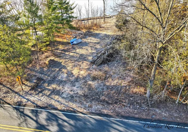3rd image of Vl W Cannonsville Rd, Trufant, MI 49347 | MLS# 70508308