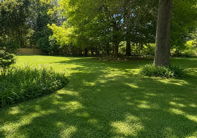 Homes for sale in Niles, MI | 1165 Sassafras Ln, Niles, MI 49120 | MLS# 70542334