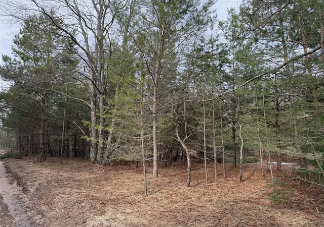 Homes for sale in Kaleva, MI | Pihl Rd, Kaleva, MI 49645 | MLS# 70523252