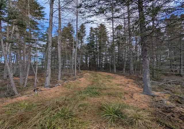1st image of Vl Slough Lake Rd, Gwinn, MI 49841 | MLS# 70524712