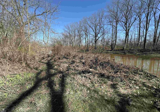 1st image of 0 Woodland Ln Ln, China, MI 48054 | MLS# 50204072