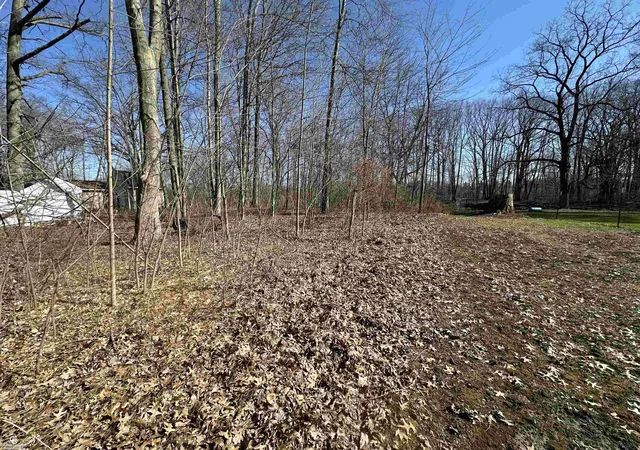 2nd image of 0 Woodland Ln Ln, China, MI 48054 | MLS# 50204072