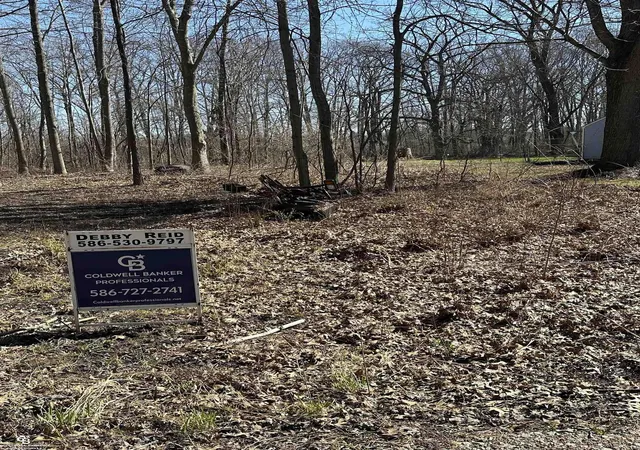 8th image of 0 Woodland Ln Ln, China, MI 48054 | MLS# 50204072