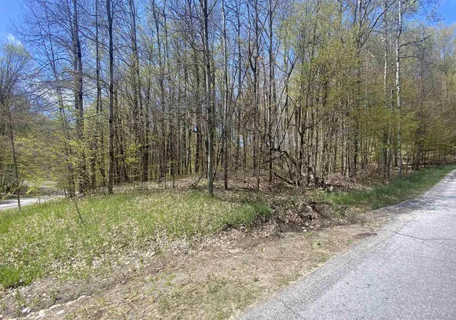 Homes for sale in Bellaire, MI | Lot 105 106 East Village Dr, Bellaire, MI 49615 | MLS# 80067746
