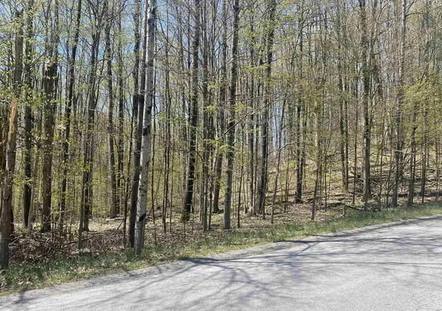 Homes for sale in Bellaire, MI | Lot 105-106 East Village Dr, Bellaire, MI 49615 | MLS# 80067746