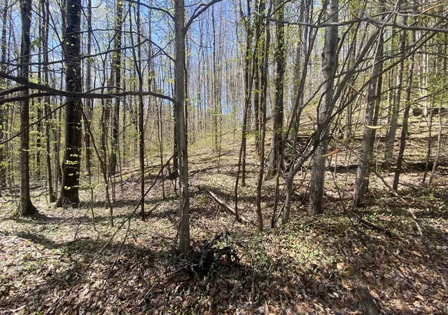 Homes for sale in Bellaire, MI | Lot 105-106 East Village Dr, Bellaire, MI 49615 | MLS# 80067746