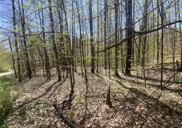 Homes for sale in Bellaire, MI | Lot 105-106 East Village Dr, Bellaire, MI 49615 | MLS# 80067746
