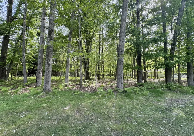 Homes for sale in Canadian Lakes, MI | 9368 Clubhouse Dr, Canadian Lakes, MI 49346 | MLS# 70534676