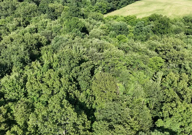 Photo 3 of Land for sale at Harris Ln, Niles, MI 49120 | MLS# 70554021 | Listing updated on 2026-08-25