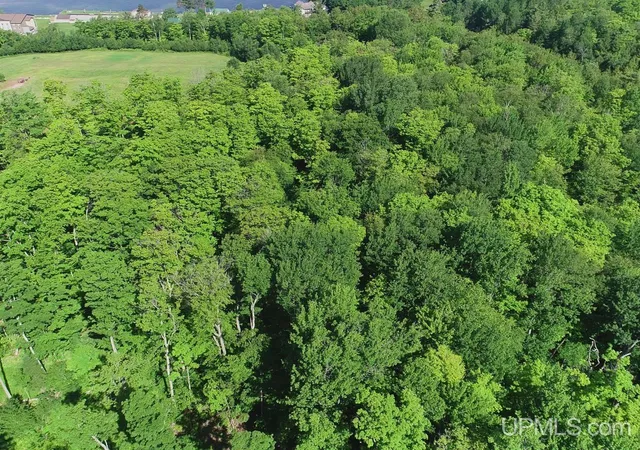 Homes for sale in Munising, MI | 8 Acres Nestor Rd, Munising, MI 49862 | MLS# 50213603