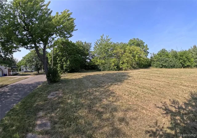 Photo 3 of Land for sale at 3932 18th Street, Detroit, MI 48208 | MLS# 60974418 | Listing updated on 2026-08-26