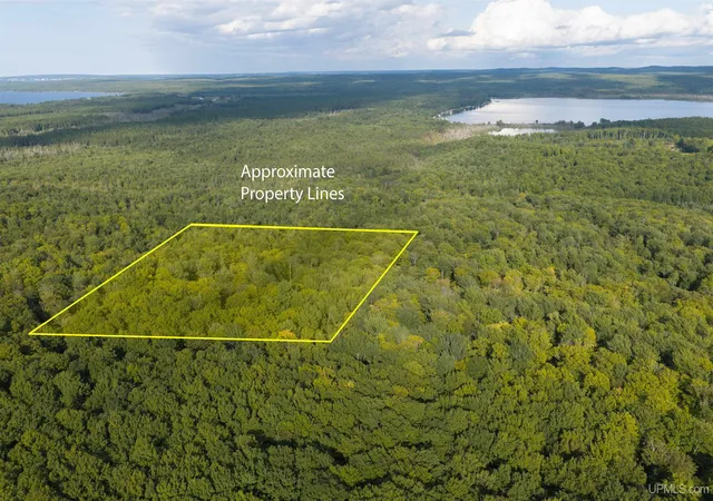 Land for sale at Tbd 40 Acres Martin Rd, Au Train, MI 49806 | MLS# 50220266