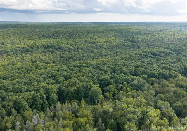 Photo 2 of Land for sale at Tbd 40 Acres Martin Rd, Au Train, MI 49806 | MLS# 50220266 | Listing updated on 2026-09-05