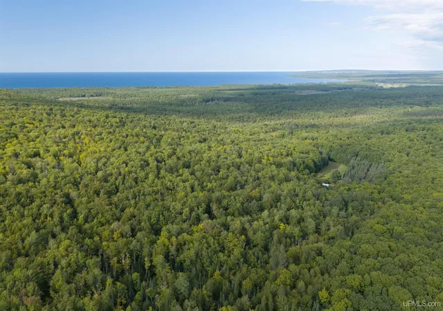 Photo 3 of Land for sale at Tbd 40 Acres Martin Rd, Au Train, MI 49806 | MLS# 50220266 | Listing updated on 2026-09-05