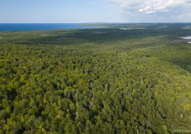 Photo 3 of Land for sale at Tbd 40 Acres Martin Rd, Au Train, MI 49806 | MLS# 50220266 | Listing updated on 2026-09-05