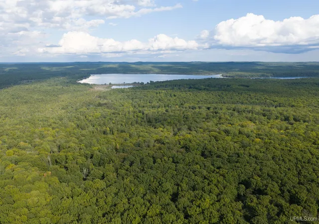 Photo 4 of Land for sale at Tbd 40 Acres Martin Rd, Au Train, MI 49806 | MLS# 50220266 | Listing updated on 2026-09-05