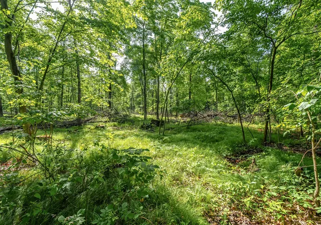 Photo 3 of Sale Pending at 10905 E Shore Dr, Portage, MI 49002 | MLS# 70546382 | Listing updated on 2026-07-29