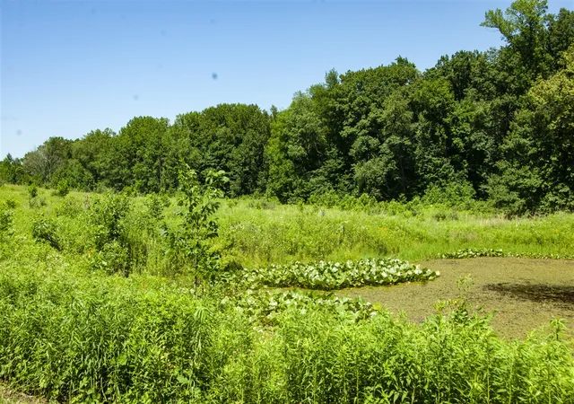 Photo 1 of Land for sale at 6864 N Nature Ln, La Porte, IN 46350 | MLS# 70547155 | Listing updated on 2026-07-21