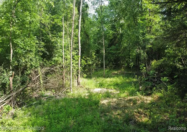5th image of 0000 Teggerdine Rd, White Lake, MI 48386 | MLS# 60238863