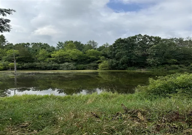 Photo 3 of Land for sale at 227 Riviera Dr, Brooklyn, MI 49230 | MLS# 70422879 | Listing updated on 2026-08-04