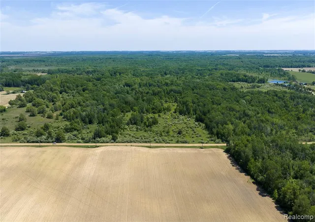 Homes for sale in Snover, MI | Parcel B Freiburger Rd, Snover, MI 48472 | MLS# 61001795