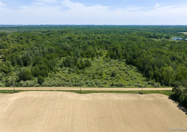Homes for sale in Snover, MI | Parcel B Freiburger Rd, Snover, MI 48472 | MLS# 61001795