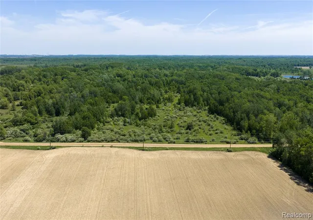Homes for sale in Snover, MI | Parcel B Freiburger Rd, Snover, MI 48472 | MLS# 61001795
